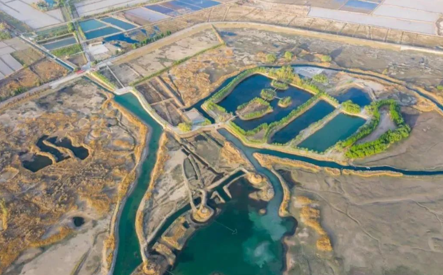 中标公告：新疆叶尔羌河西岸输水总干渠克洛瓦提节制分水闸除险加固工程金属结构设备采购及安装标段（images 1）